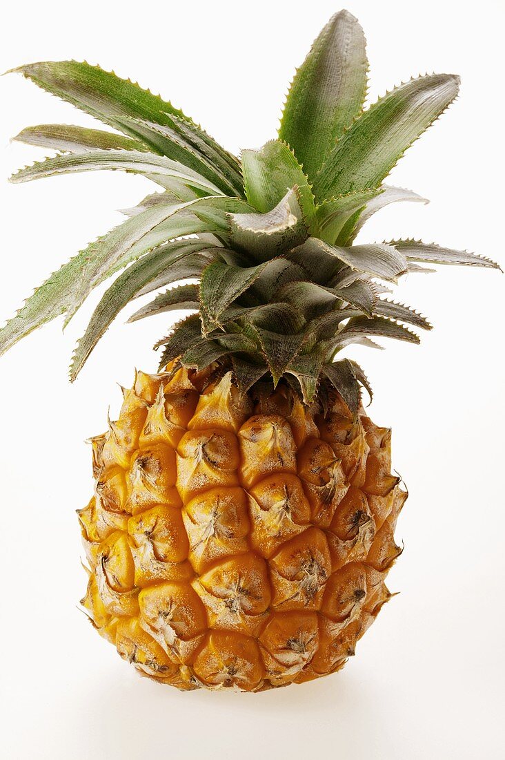 Fresh baby pineapple