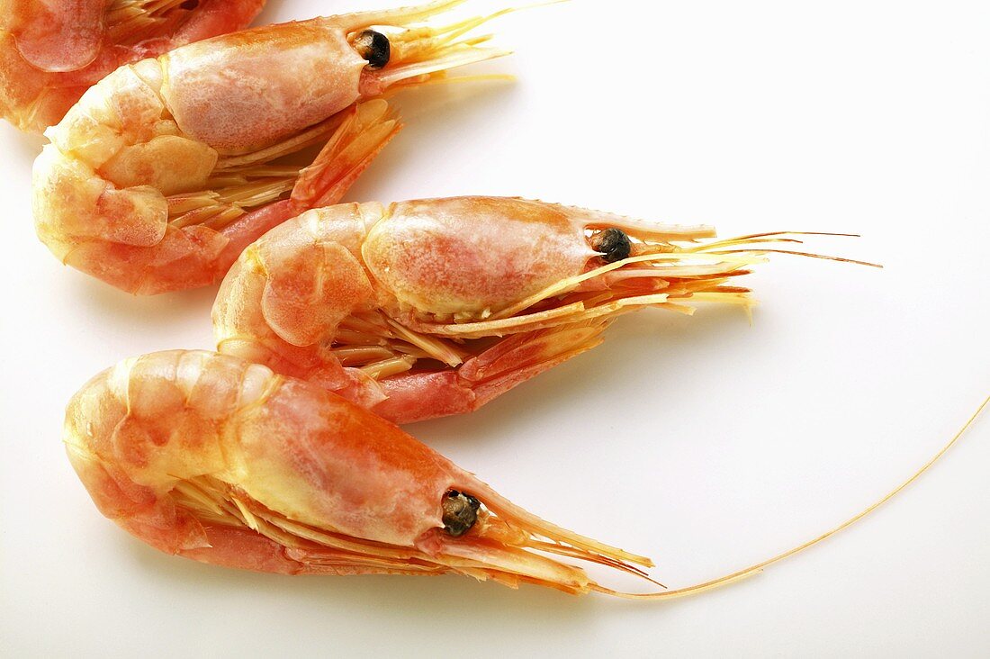 A few shrimps (close-up)