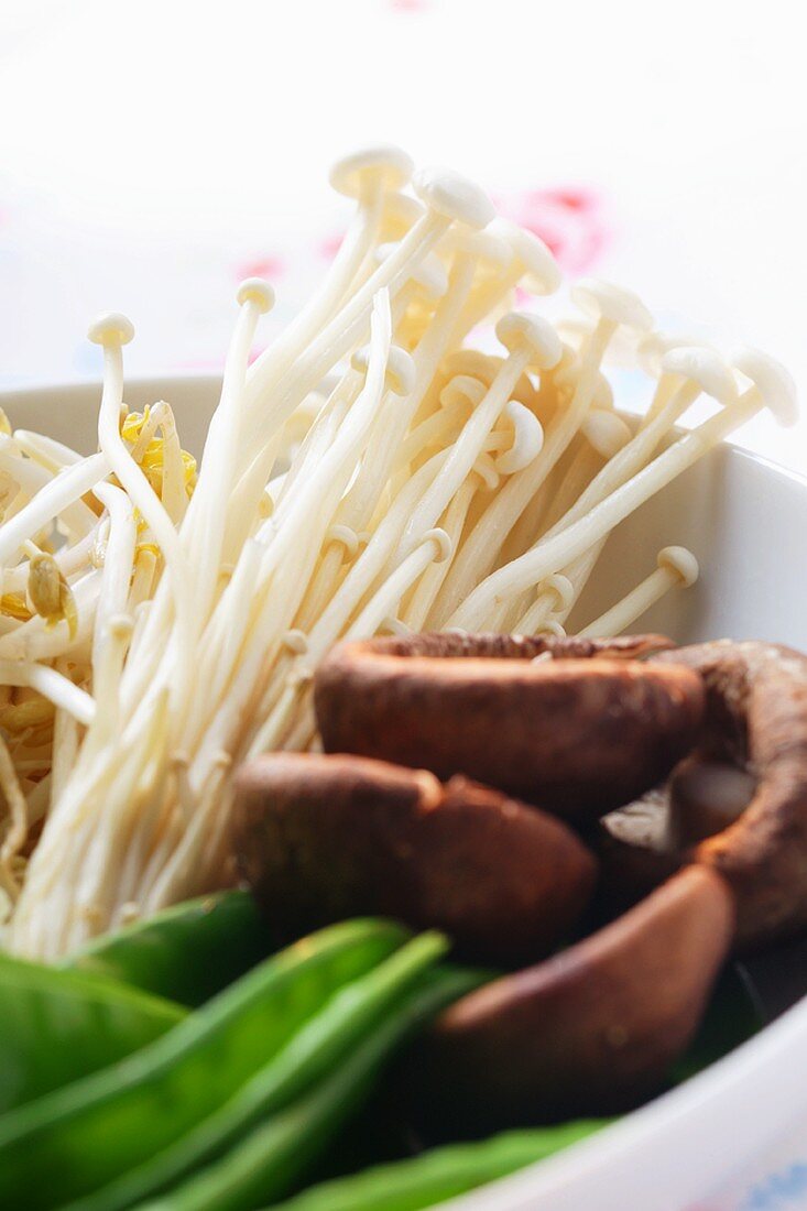 Fresh enoki mushrooms