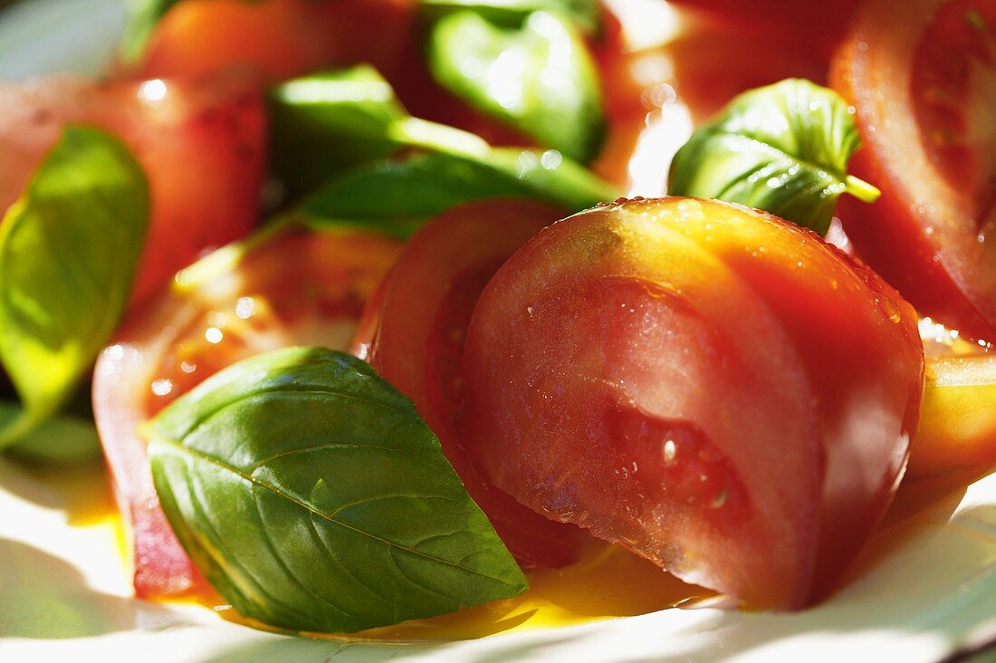 Tomaten mit frischem Basilikum