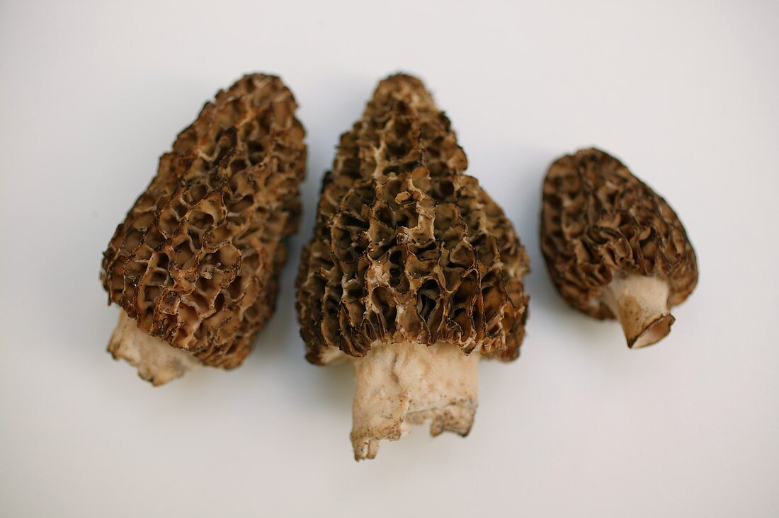 Three morels