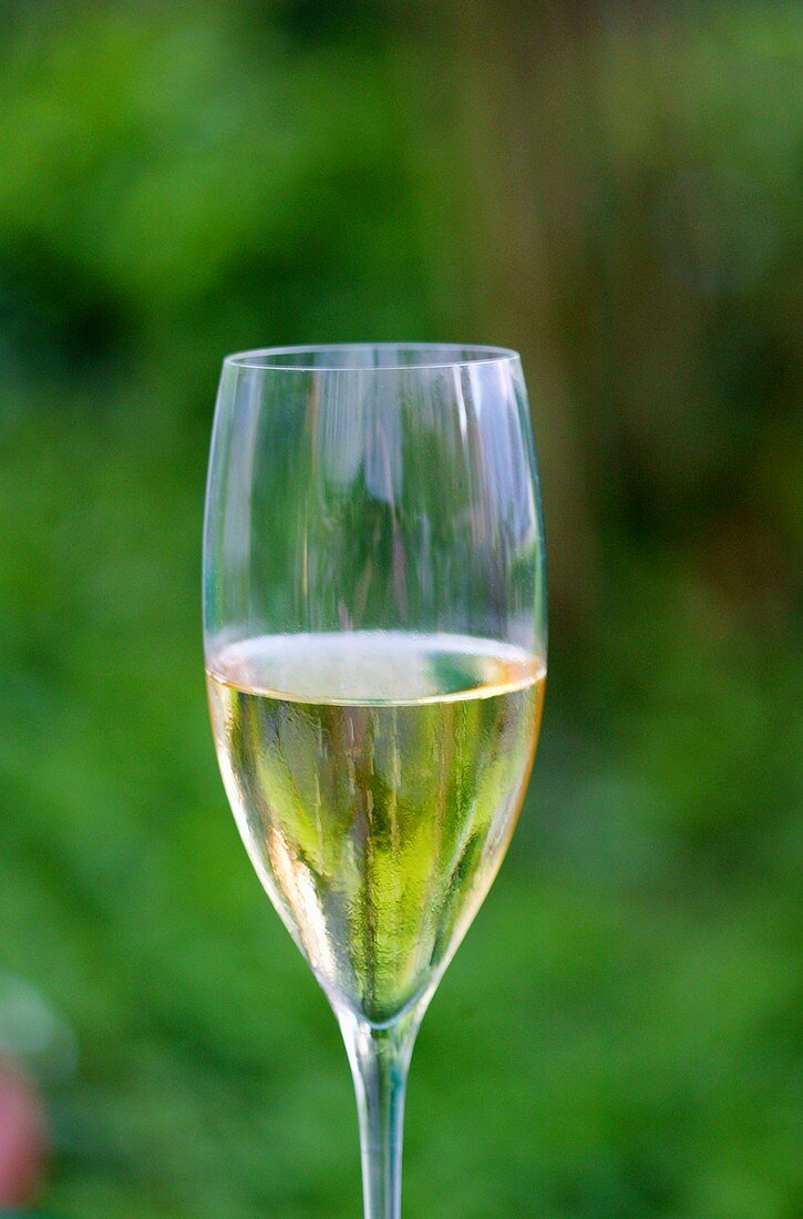 A glass of Prosecco