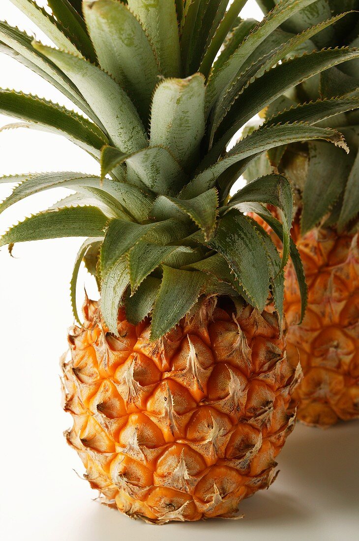 Two baby pineapples