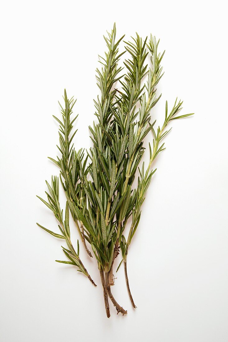 Rosemary