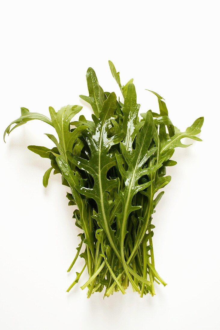 Frischer Rucola