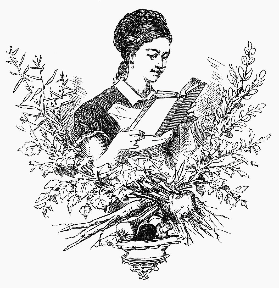 Woman with dictionary of cookery (Illustration)