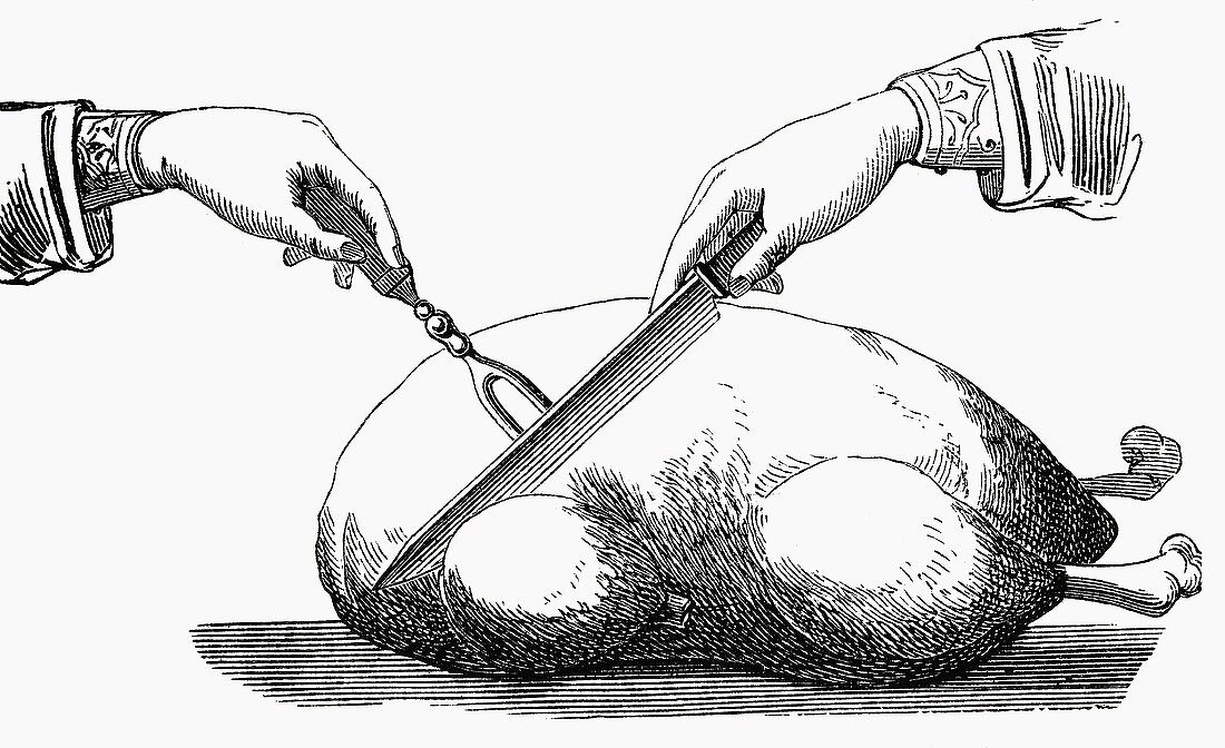 Carving a roast goose (Illustration)