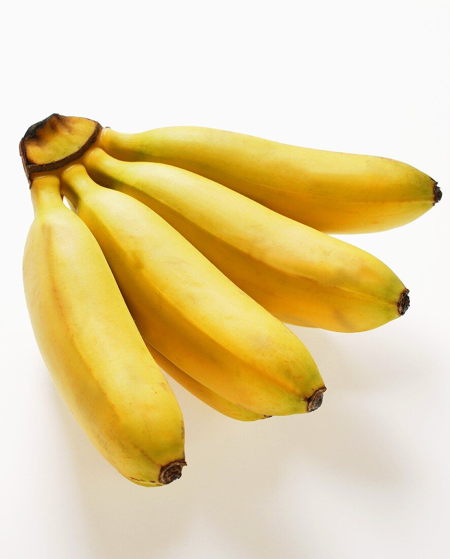 Yellow sugar bananas (finger bananas)