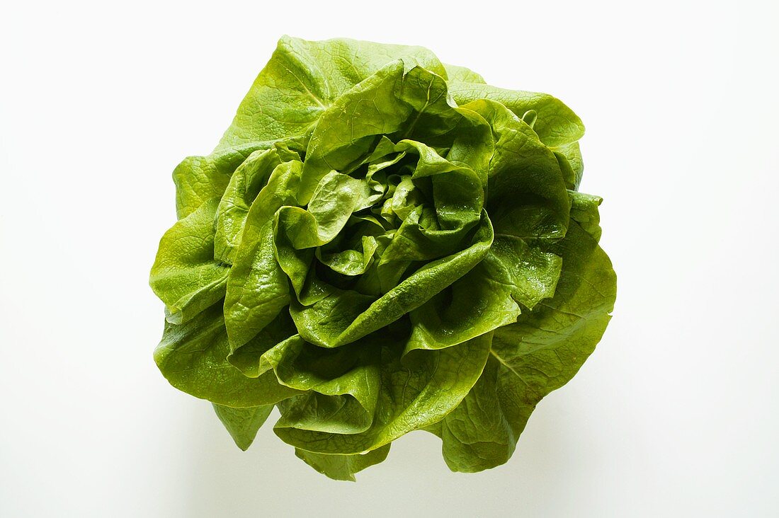 Kopfsalat