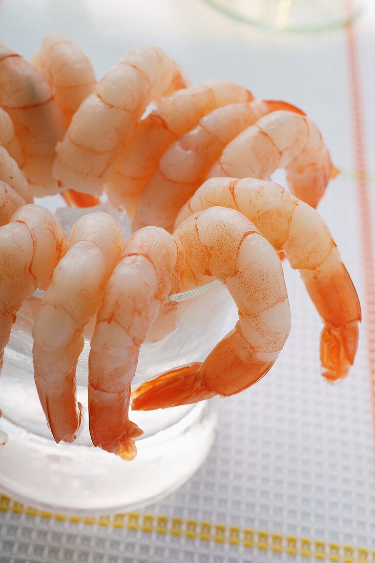 Shrimps in glass