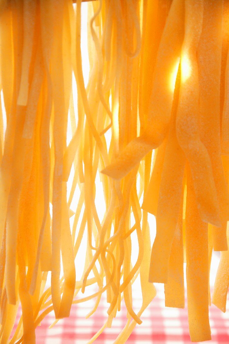 Fresh ribbon pasta of various types