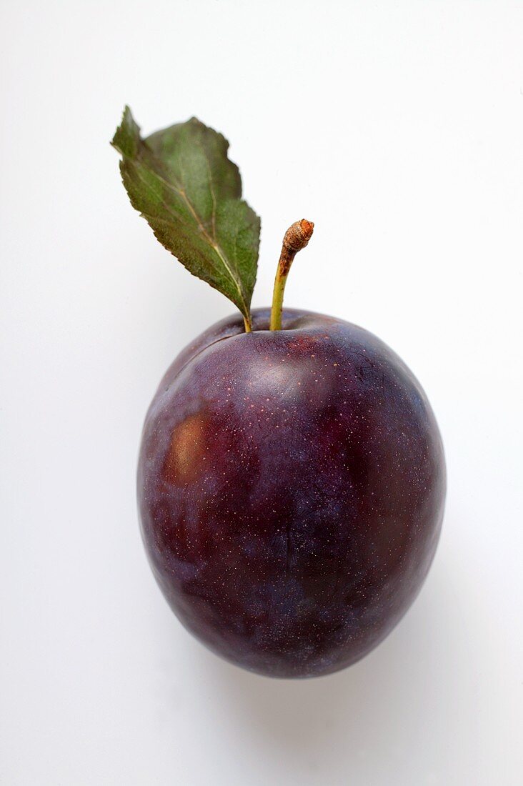 A plum with leaf