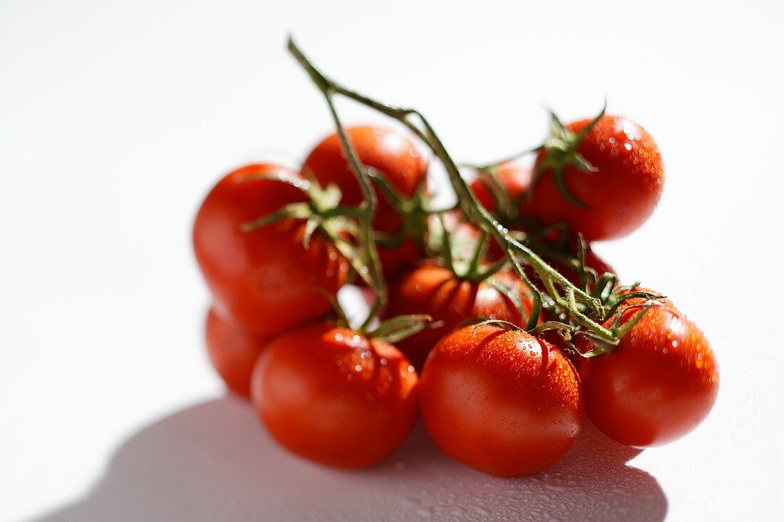 Cherry tomatoes with drops of water