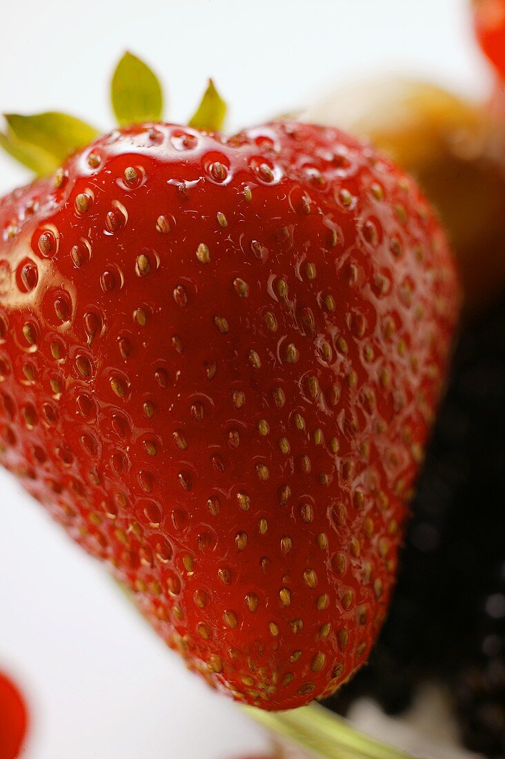 Frische Erdbeere (Close Up)