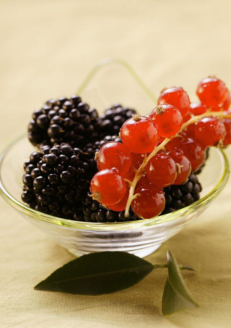 Brombeeren und rote Johannisbeeren in Schale