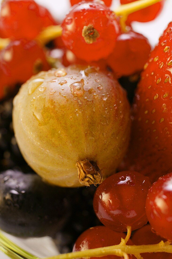 Assorted fresh berries (close-up)