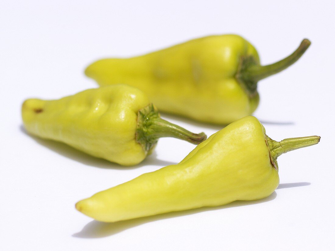 Three Pale Green Chili Peppers