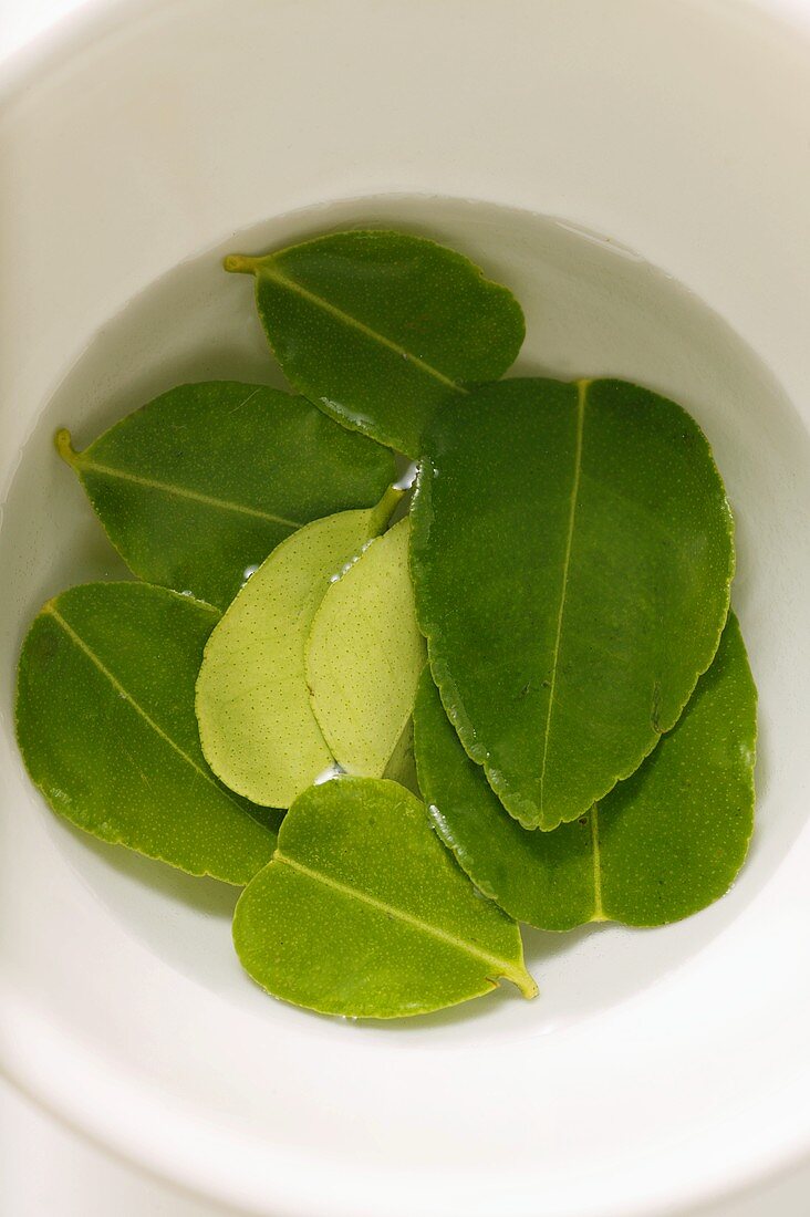 Lemon leaves, soaked in water