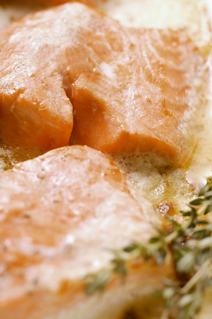 Salmon fillet in cream sauce with thyme