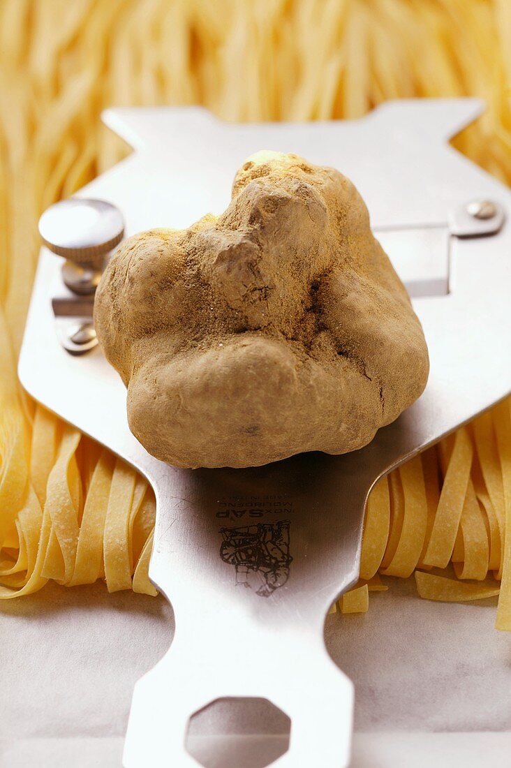 White truffle on truffle slicer; ribbon pasta
