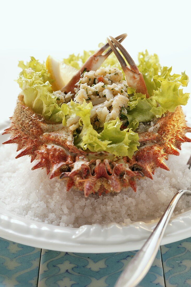 Spider crab salad on sea salt