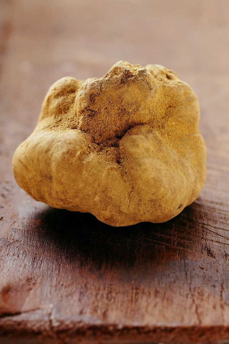 White truffle