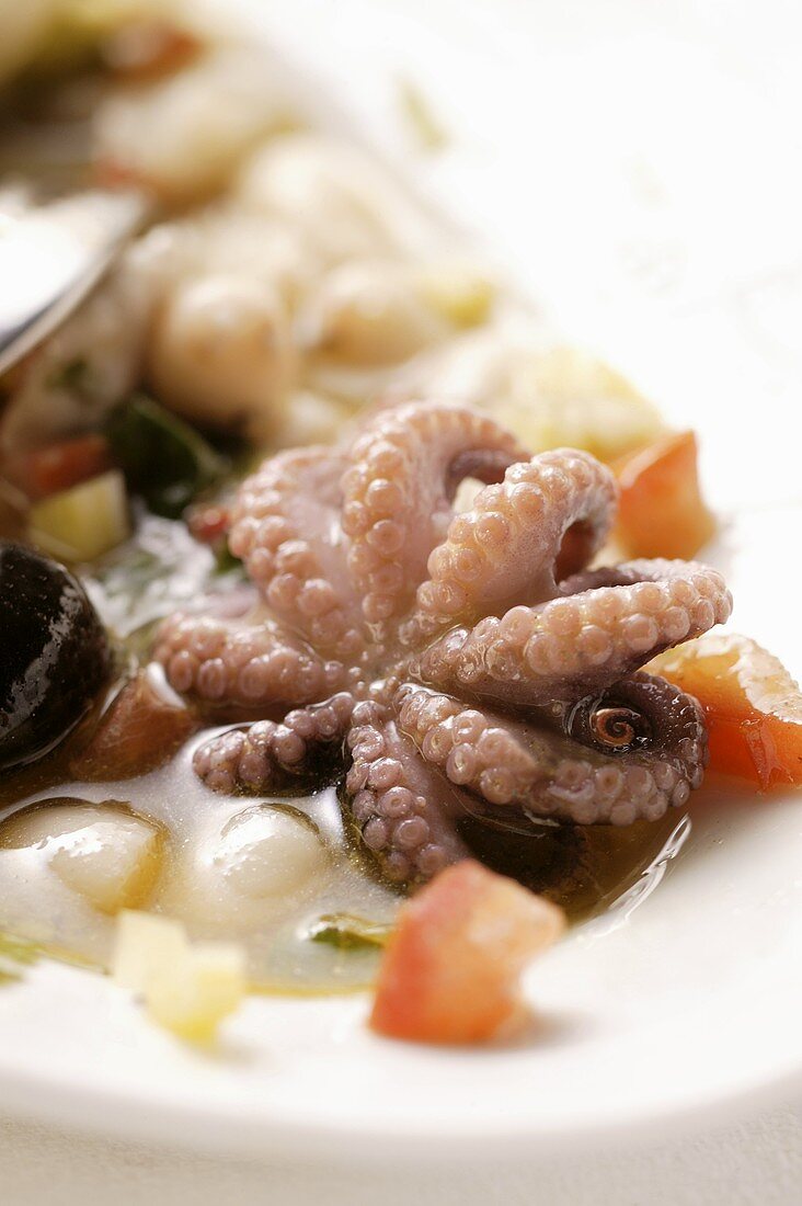 Seafood salad with octopus and vegetables