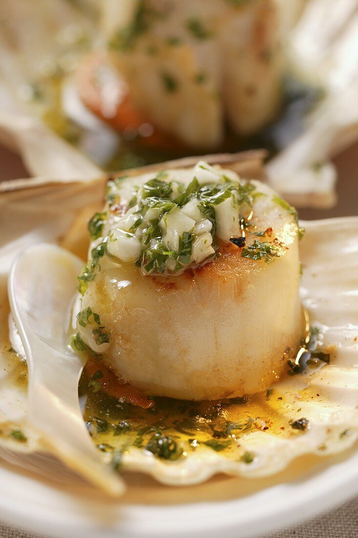 Scallop with olive oil, garlic and parsley