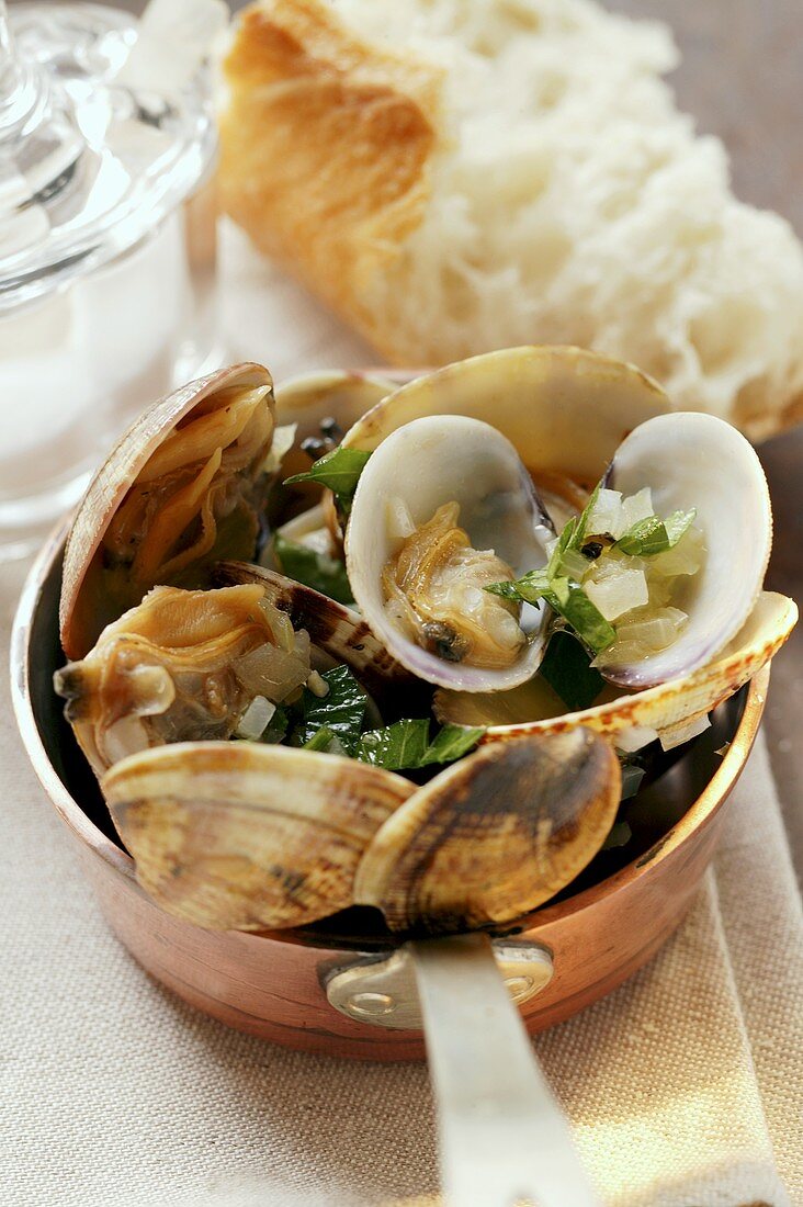 Vongole with garlic and herbs in copper pan