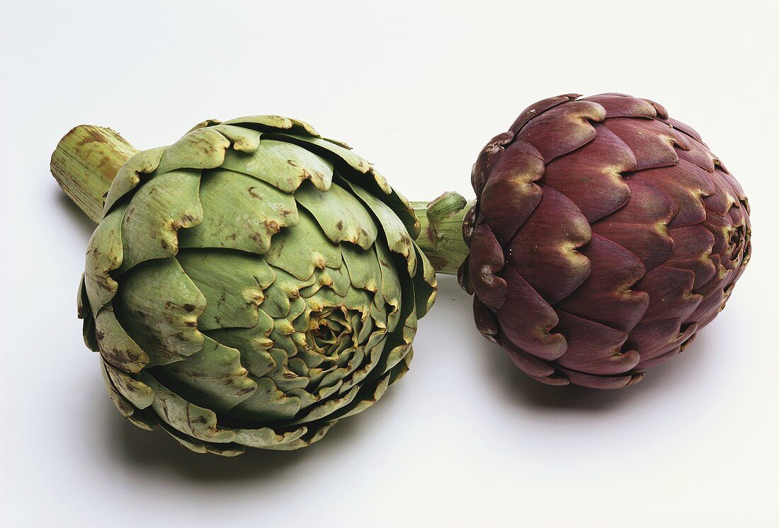 Green and purple artichoke (Camus de Bretagne variety)