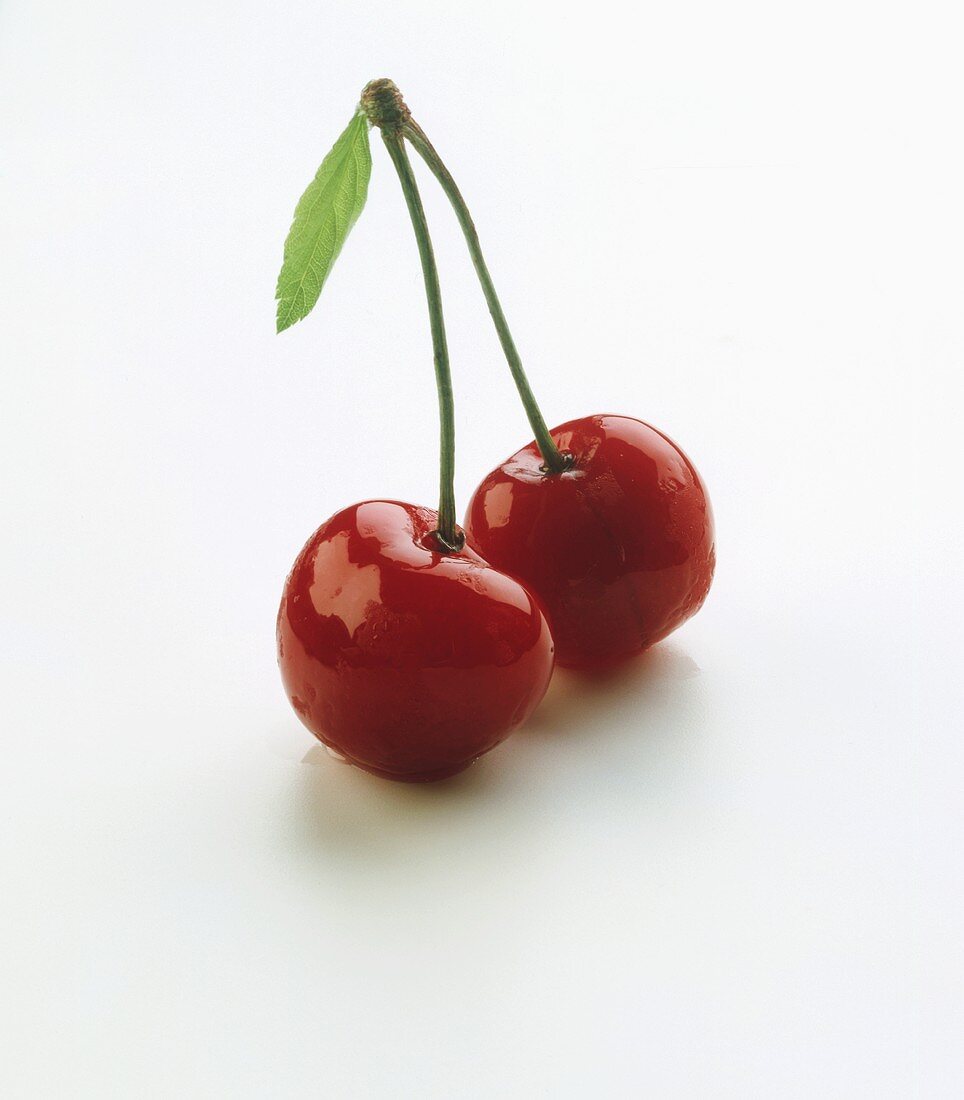A pair of freshly washed cherries