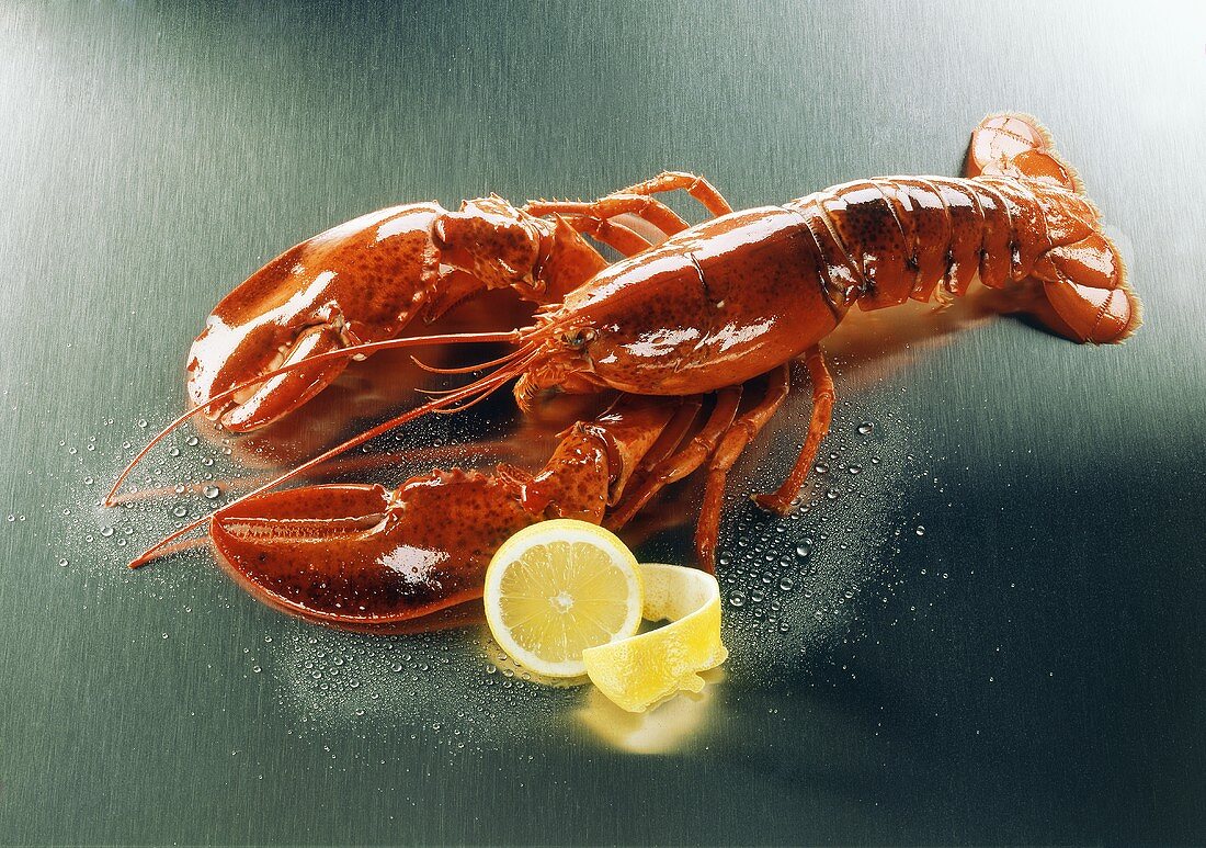 Cooked lobster with lemon