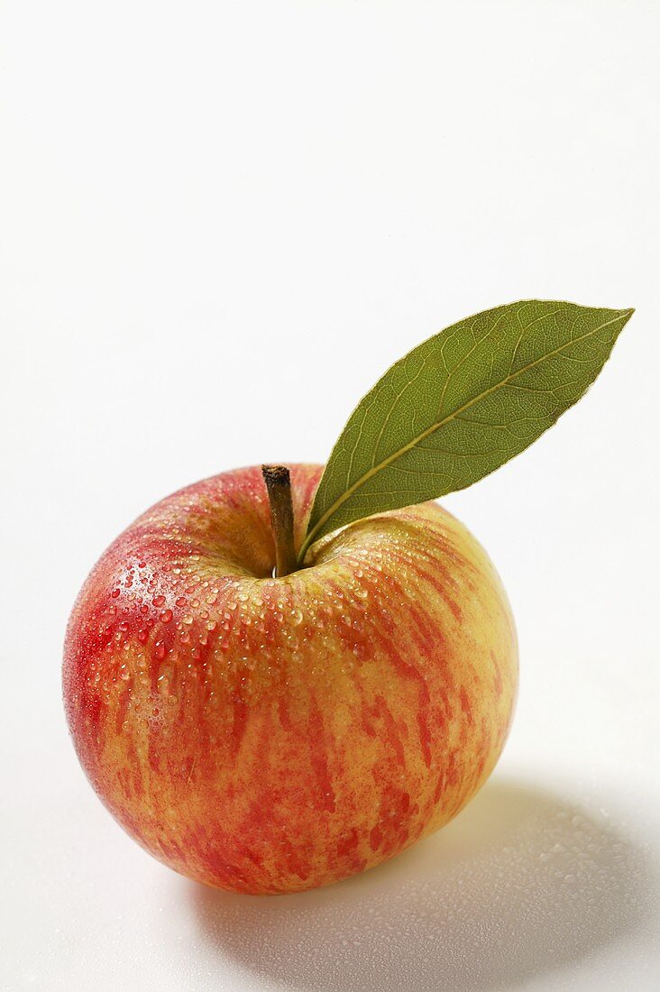 Ein frischer Apfel mit Stiel und Blatt (Idared)