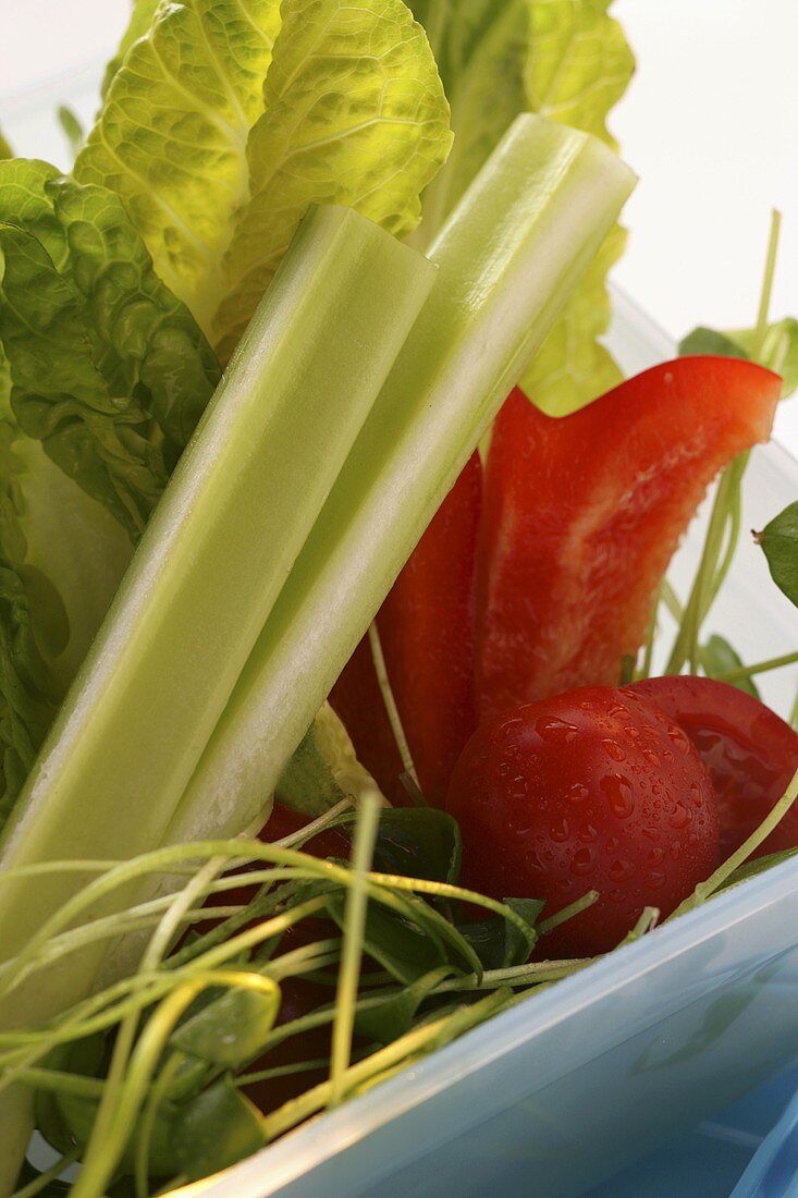 Salat in einer Lunchbox (Close Up)