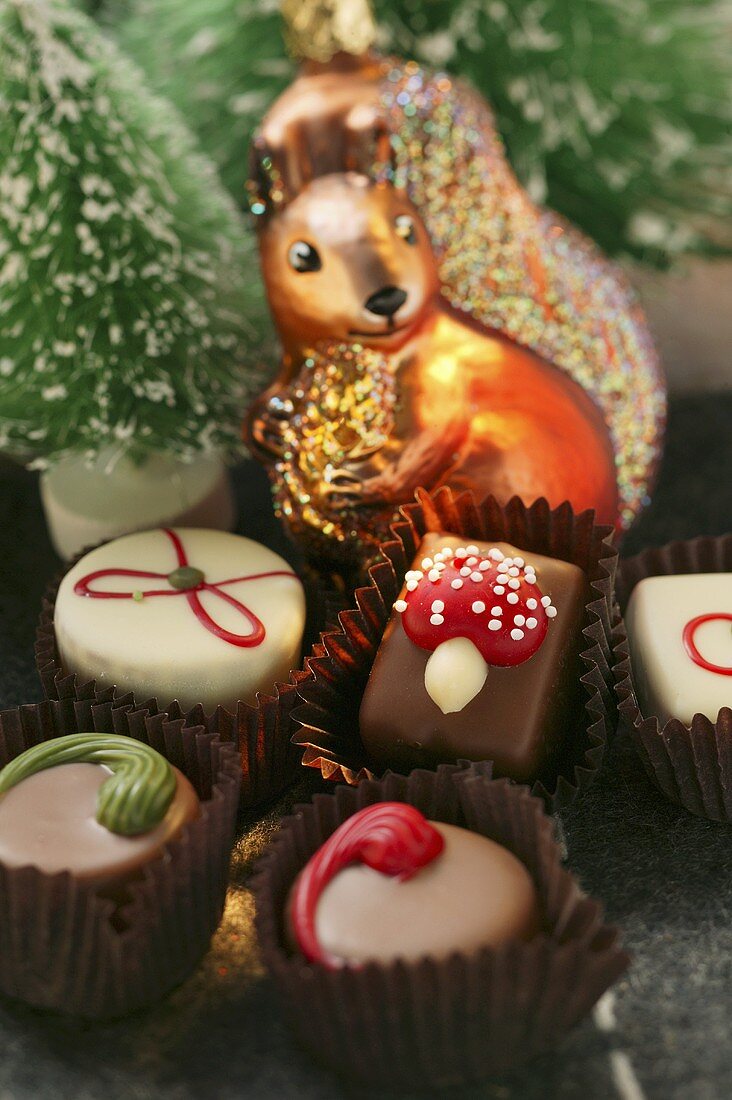Weihnachtliche Pralinen; Deko: Eichhörnchen