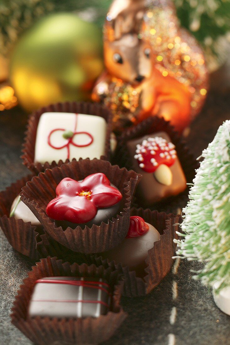 Chocolates for Christmas; squirrel