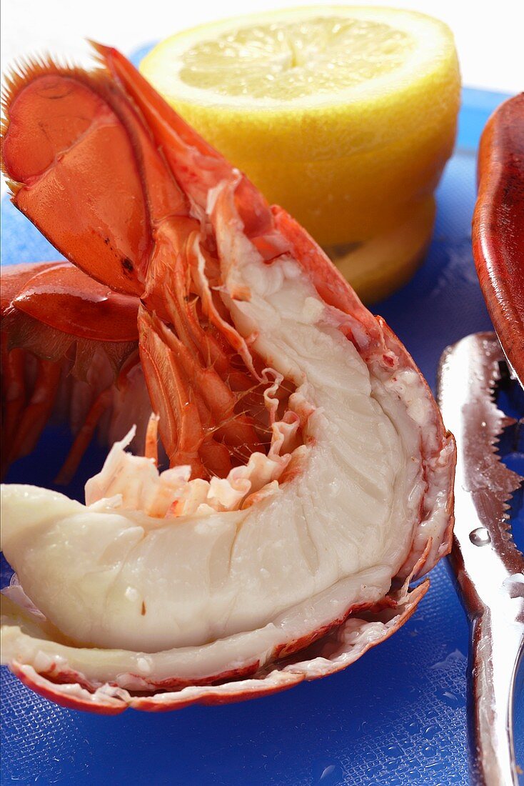 Cooked lobster with slices of lemon