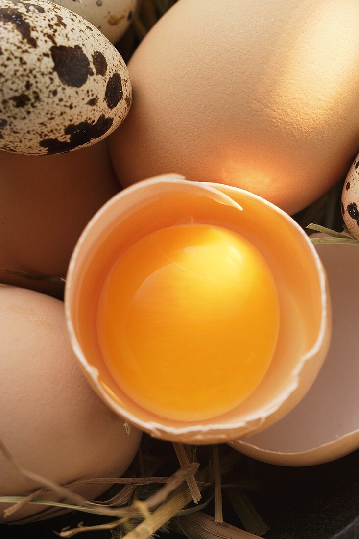 Eggs, egg broken open and quail’s eggs on straw