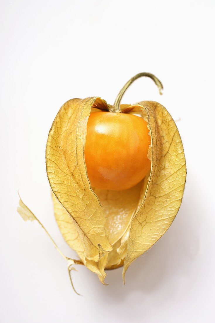 Physalis mit Hülle