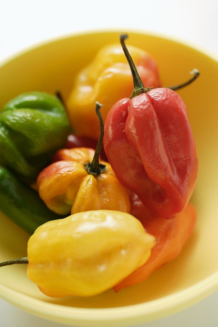 Various chili peppers in yellow bowl