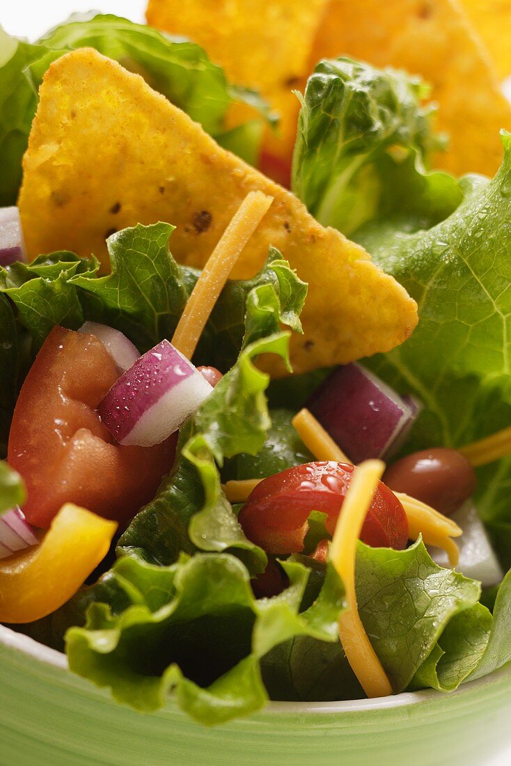 Mexican salad with vegetables and taco chips (close-up)