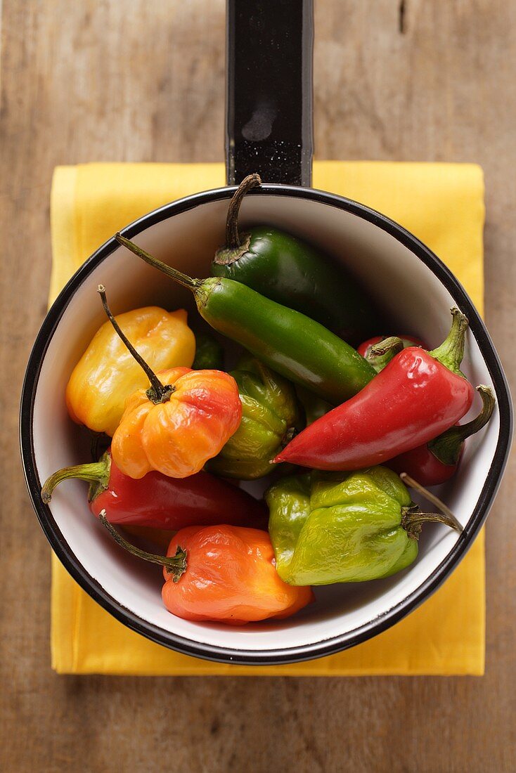 Verschiedene Chilischoten im Kochtopf