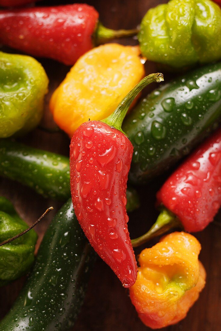 Various chili peppers with drops of water