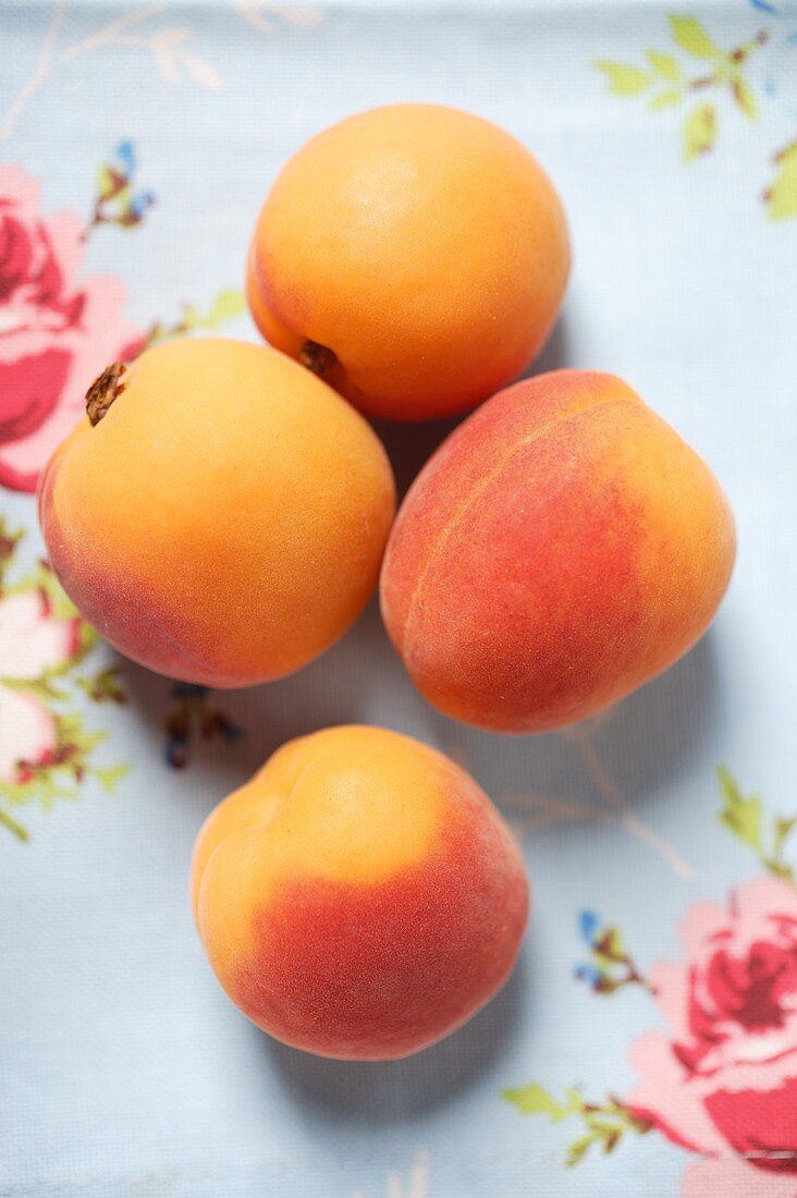 Four apricots on floral tablecloth