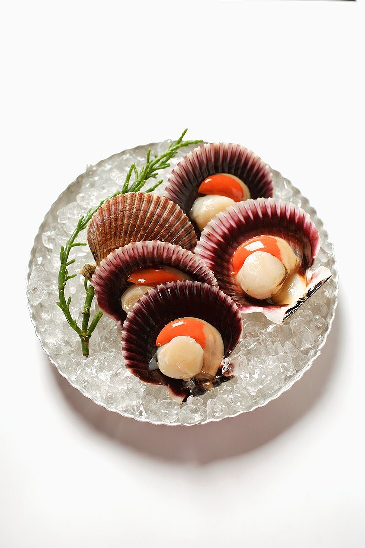 Scallops, opened, on plate with ice
