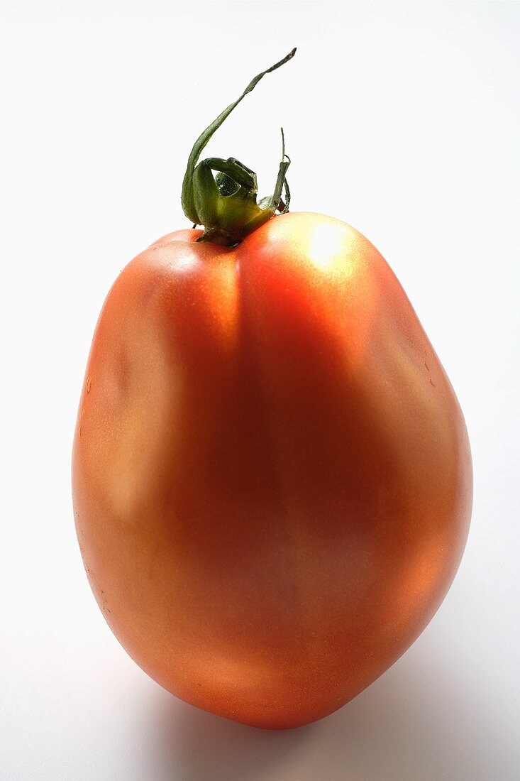 A tomato (standing on its end)