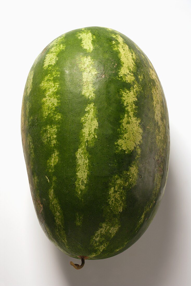 Ovale Wassermelone