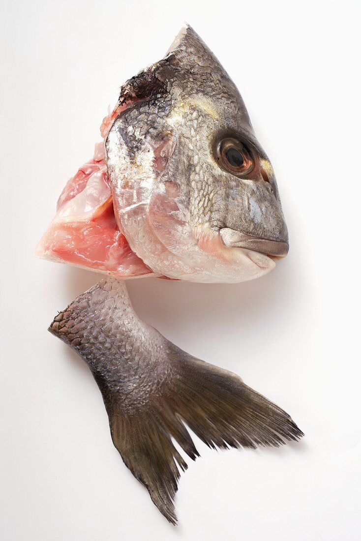Sea bass head and tail