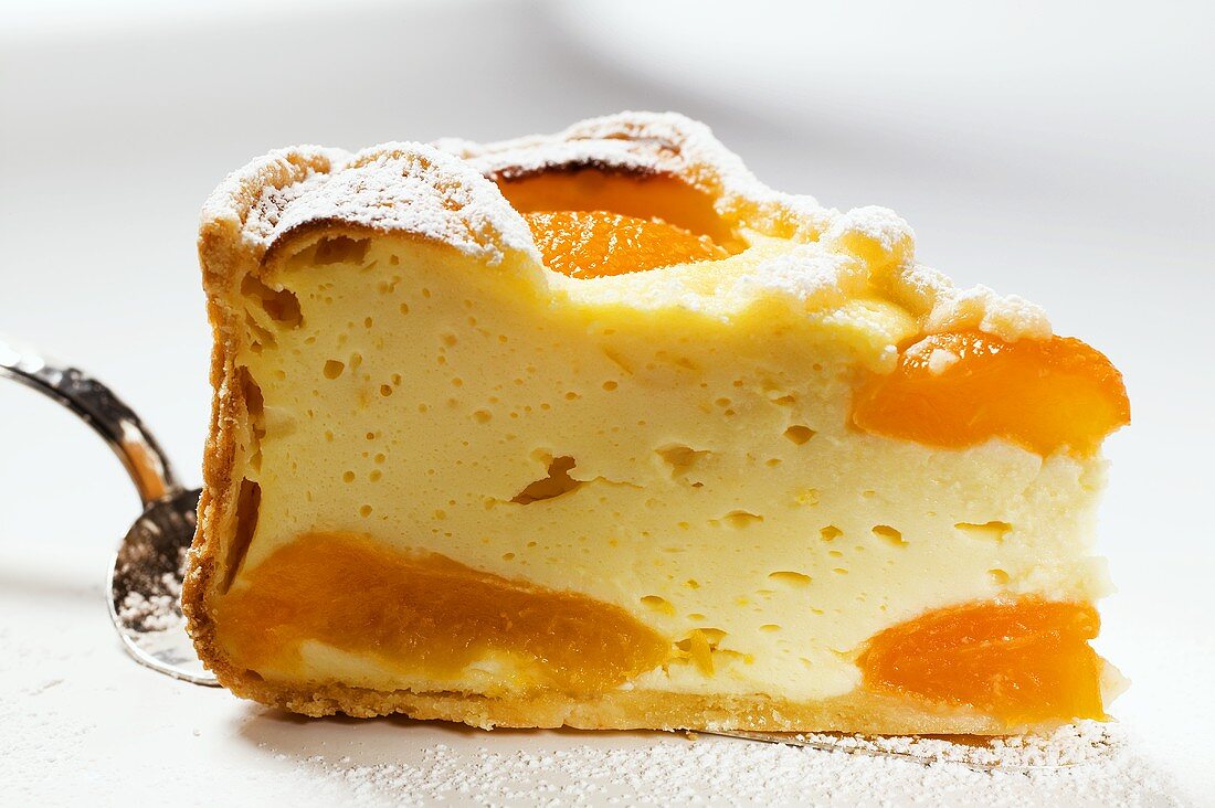Piece of cheesecake with apricots on cake slice