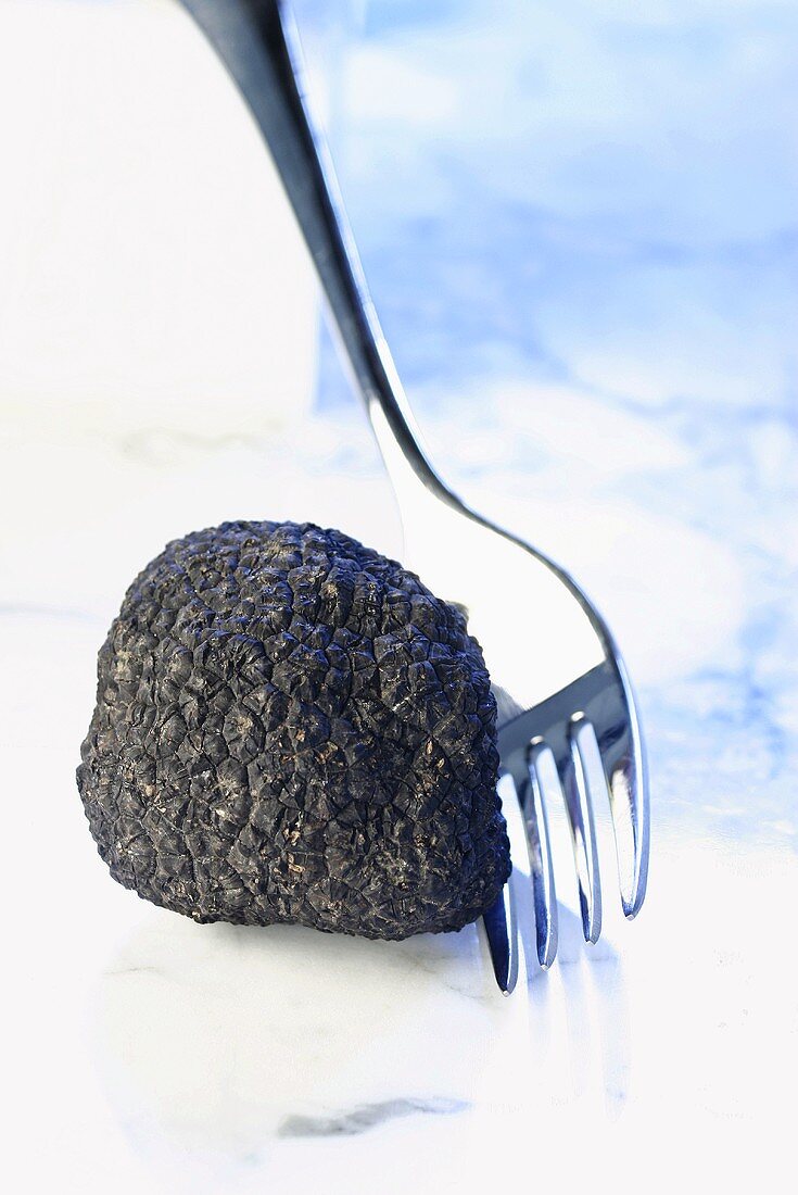 Black truffle with fork